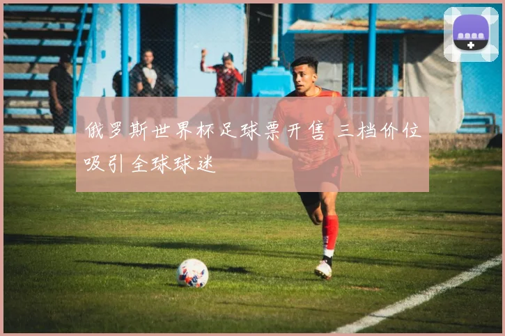 俄罗斯世界杯足球票开售 三档价位吸引全球球迷