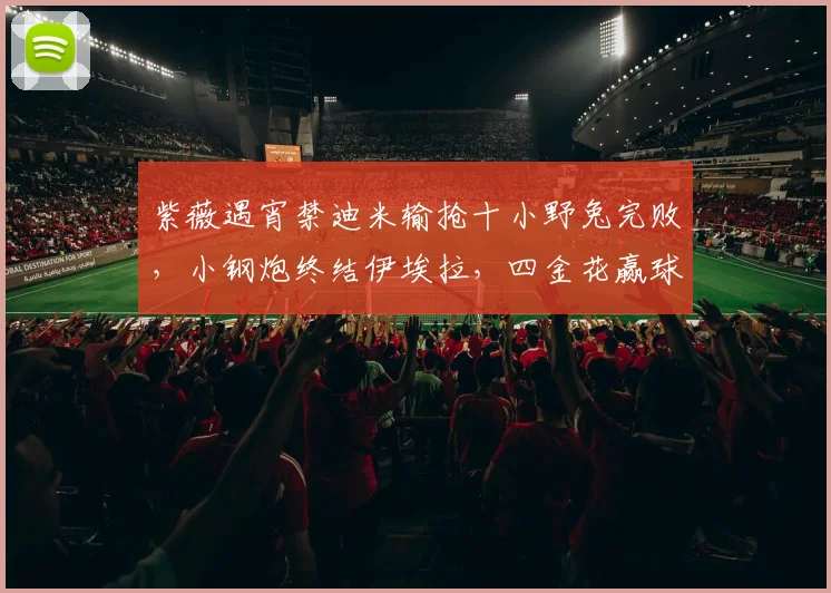 紫薇遇宵禁迪米输抢十小野兔完败，小钢炮终结伊埃拉，四金花赢球