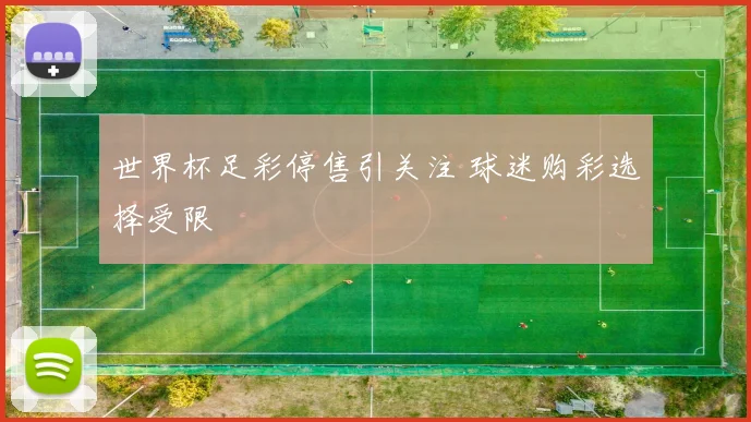世界杯足彩停售引关注 球迷购彩选择受限