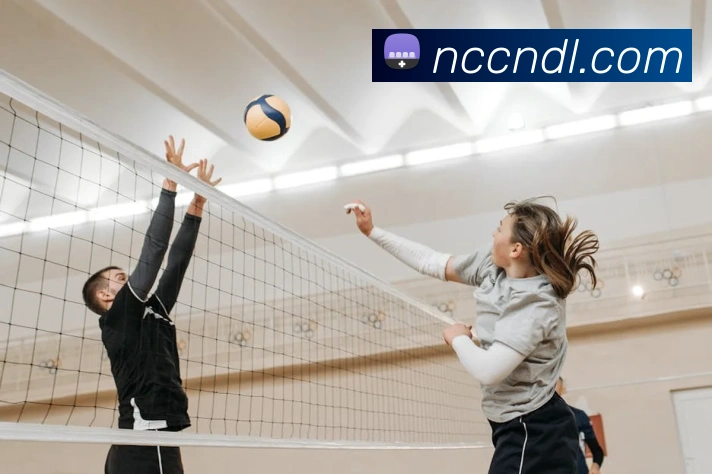 世界杯官方入口APP 高清赛事图